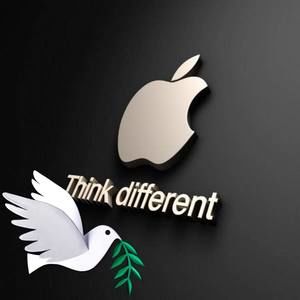 Meet your Posher, Abdi